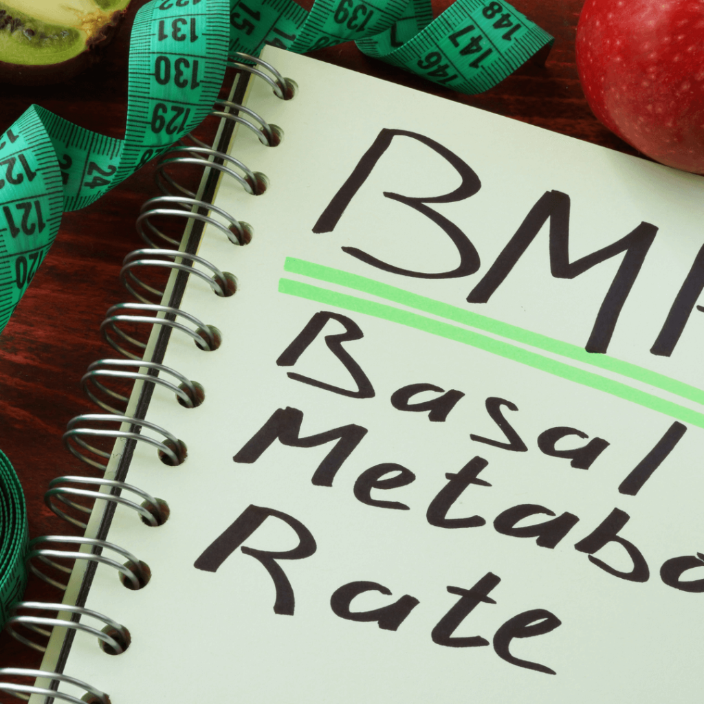 BMR calculator - how to calculate your BMR